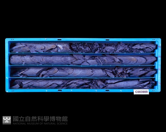 登錄號:C003989藏品圖，第1張
