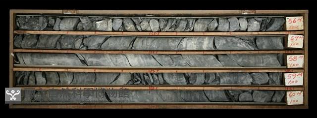 登錄號:C000689藏品圖，第2張