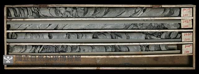 登錄號:C000599藏品圖，第2張