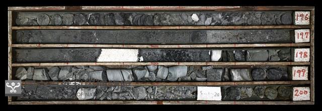 登錄號:C003599藏品圖，第1張