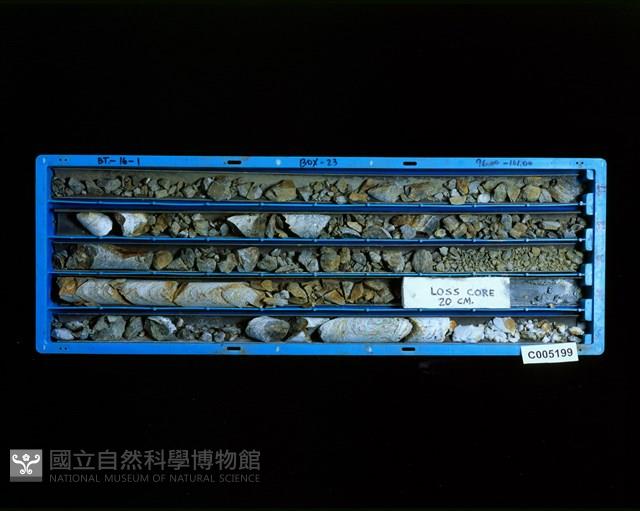 登錄號:C005199藏品圖，第2張