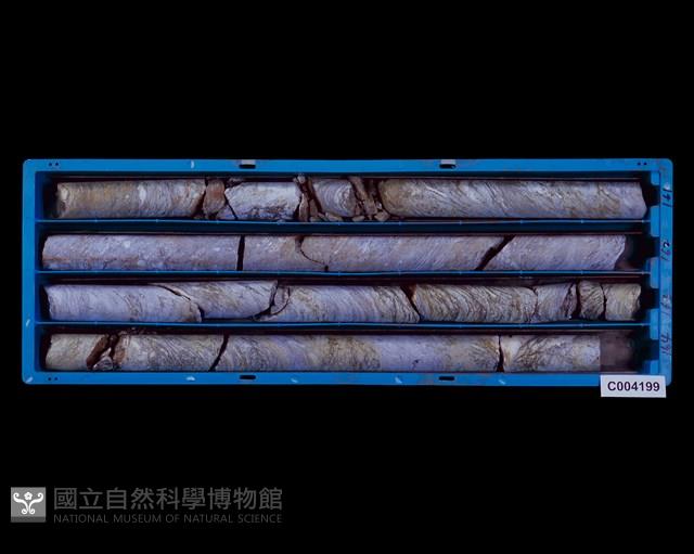 登錄號:C004199藏品圖，第1張