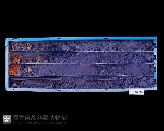 登錄號:C003999藏品圖，第1張