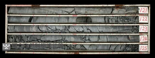 登錄號:C000499藏品圖，第1張