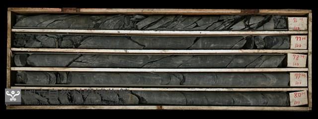 登錄號:C000569藏品圖，第2張