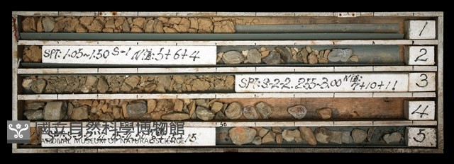 登錄號:C003669藏品圖，第1張