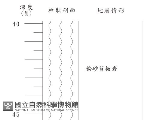 登錄號:C003869藏品圖，第1張