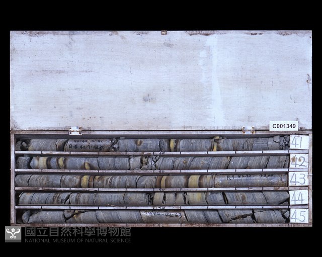 登錄號:C001349藏品圖，第2張