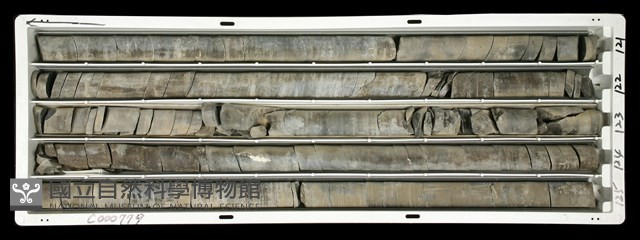登錄號:C000779藏品圖，第2張