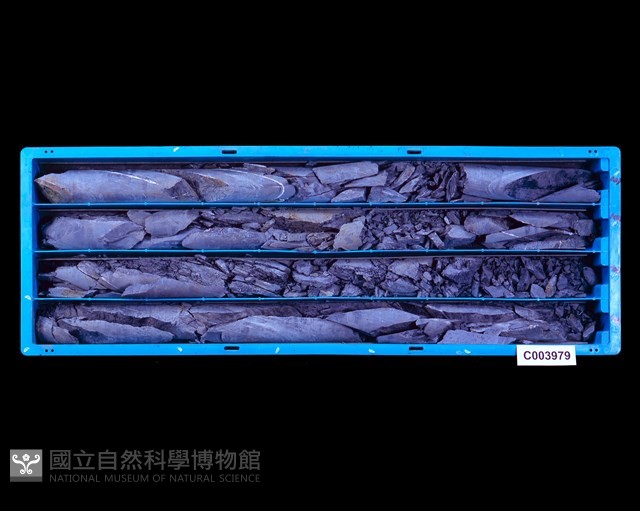 登錄號:C003979藏品圖，第1張