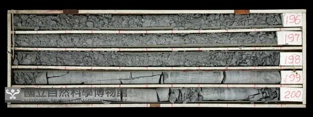 登錄號:C000479藏品圖，第1張