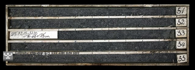 登錄號:C003679藏品圖，第1張