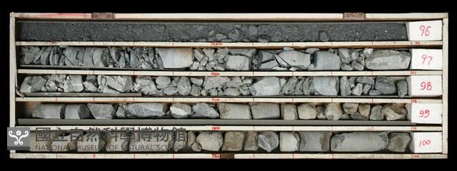 登錄號:C000459藏品圖，第1張