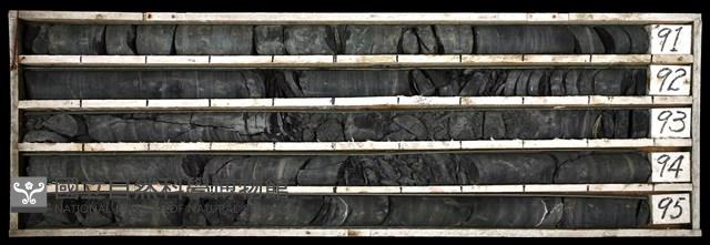 登錄號:C003459藏品圖，第1張