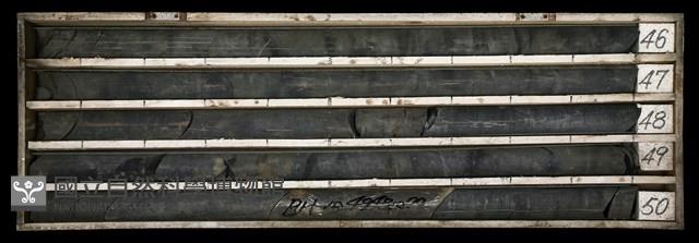 登錄號:C003509藏品圖，第1張