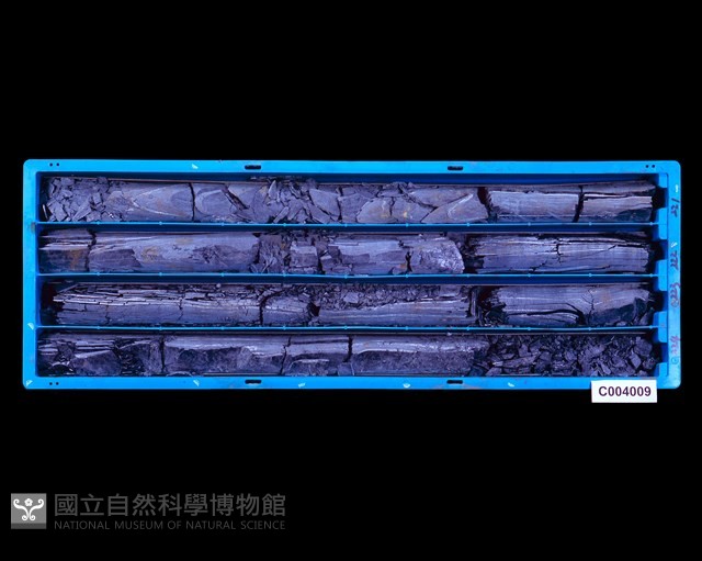 登錄號:C004009藏品圖，第1張