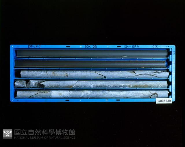 登錄號:C005239藏品圖，第2張