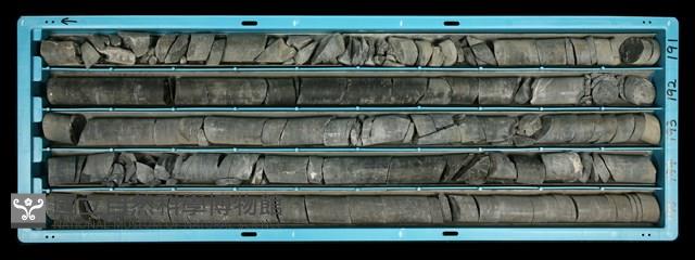 登錄號:C000739藏品圖，第2張