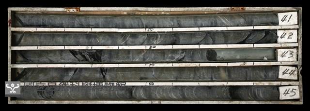 登錄號:C003528藏品圖，第1張