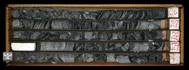 登錄號:C003628藏品圖，第1張