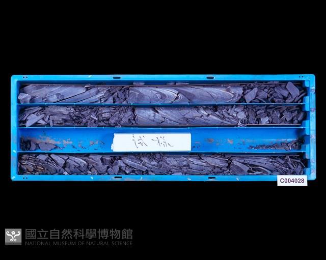 登錄號:C004028藏品圖，第1張