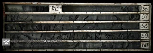 登錄號:C003388藏品圖，第1張