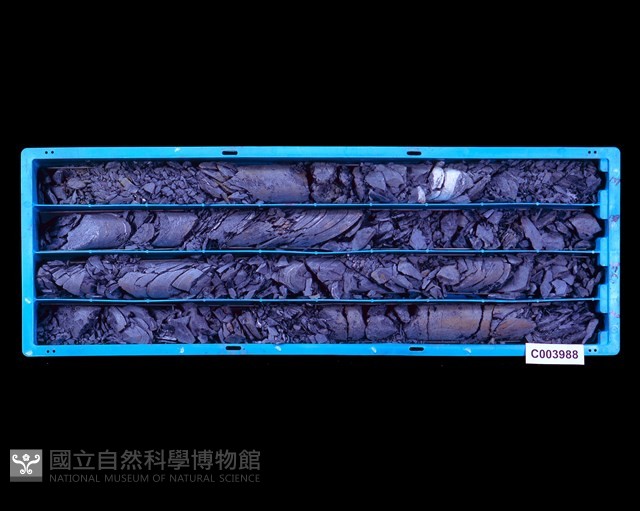 登錄號:C003988藏品圖，第1張