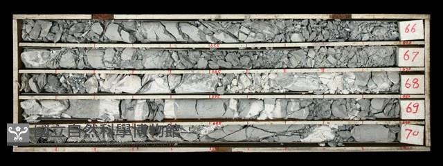 登錄號:C000488藏品圖，第1張