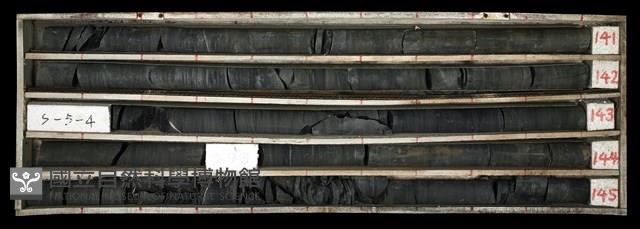 登錄號:C003488藏品圖，第1張