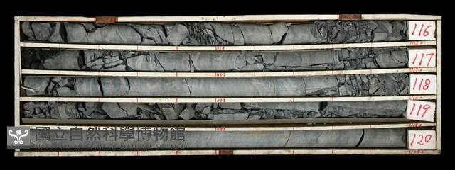 登錄號:C000498藏品圖，第1張