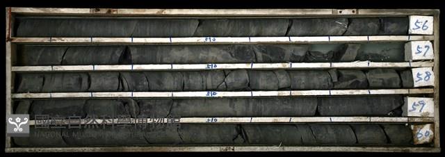 登錄號:C003368藏品圖，第1張