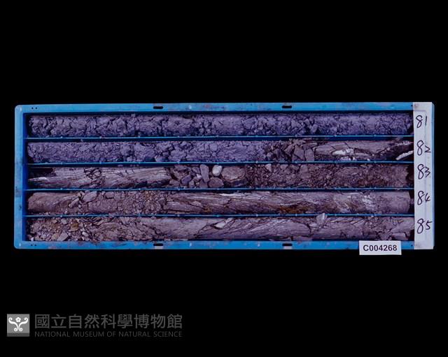 登錄號:C004268藏品圖，第2張