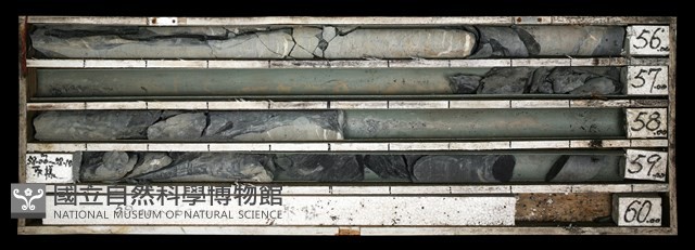 登錄號:C003668藏品圖，第1張