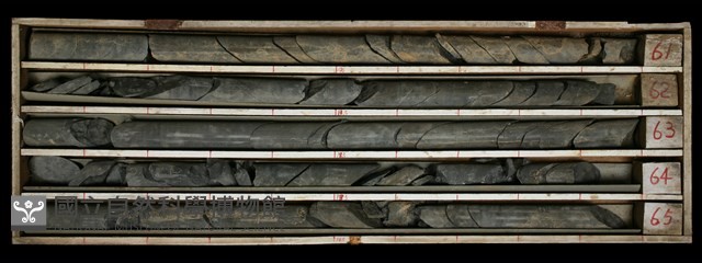 登錄號:C000548藏品圖，第2張