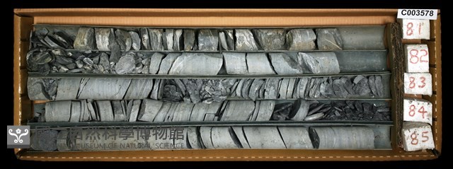 登錄號:C003578藏品圖，第1張