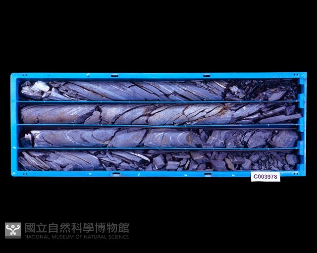 登錄號:C003978藏品圖，第1張