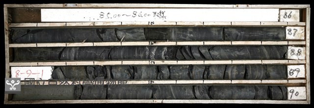 登錄號:C003458藏品圖，第1張