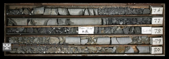 登錄號:C003618藏品圖，第1張