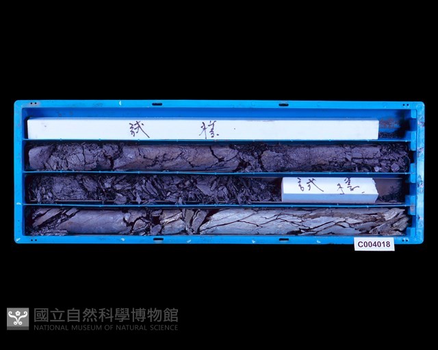 登錄號:C004018藏品圖，第1張