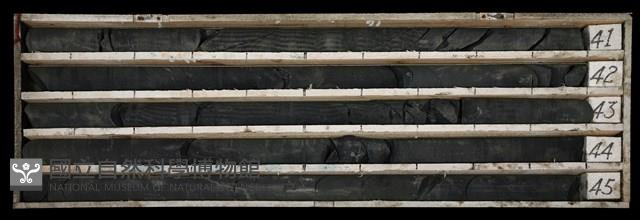 登錄號:C003508藏品圖，第1張