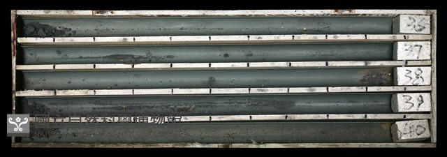 登錄號:C003708藏品圖，第1張