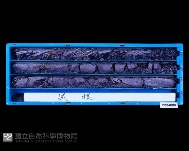 登錄號:C004008藏品圖，第1張