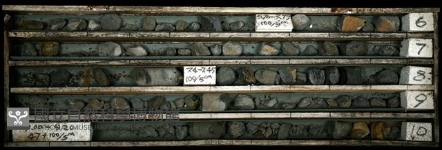 登錄號:C003338藏品圖，第1張