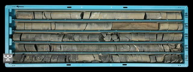 Accession Number:C000738 Collection Image, Figure 2, Total 2 Figures