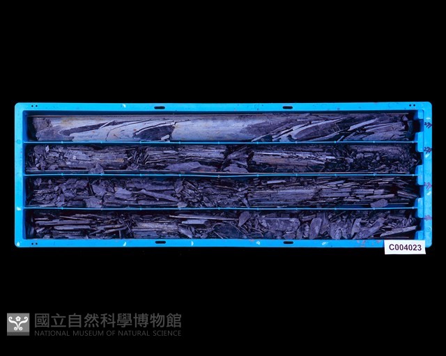 登錄號:C004023藏品圖，第1張
