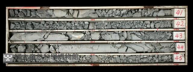 登錄號:C000483藏品圖，第1張