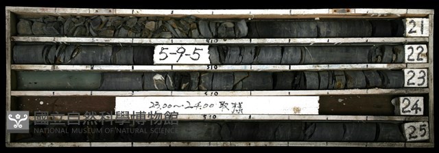 登錄號:C003393藏品圖，第1張