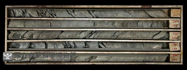 登錄號:C000593藏品圖，第2張