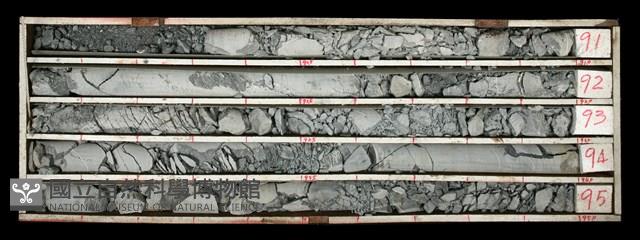 登錄號:C000493藏品圖，第1張