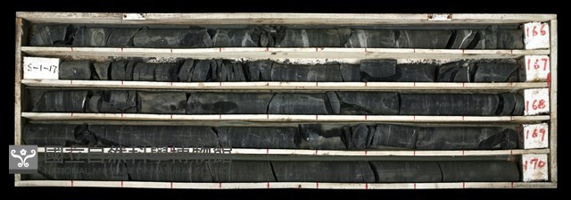 登錄號:C003493藏品圖，第1張